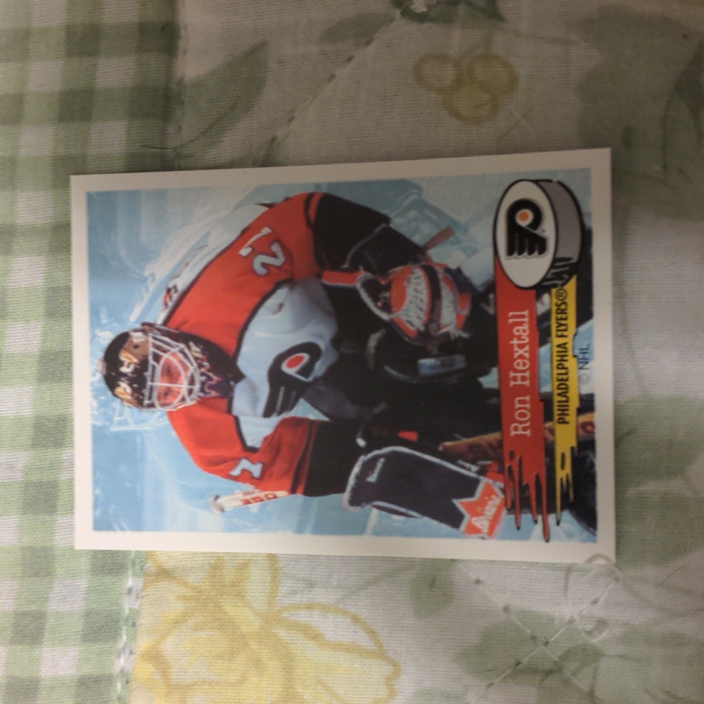 10 for $20 Ron Hextall 1995-96 Panini NHL Hockey Sticker #123